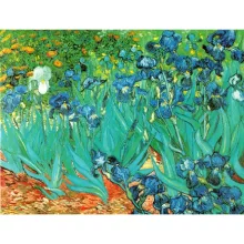 Van Gogh: Íriszek - Szemüvegtok tisztítókendővel - von Lilienfeld