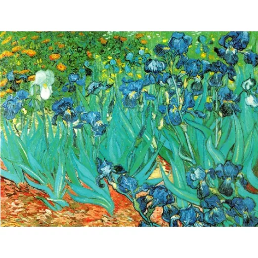 Van Gogh: Íriszek - Szemüvegtok tisztítókendővel - von Lilienfeld