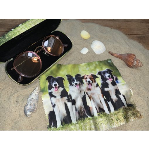 Border Collie - Szemüvegtok tisztítókendővel - von Lilienfeld