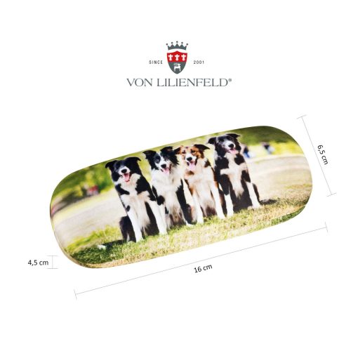 Border Collie - Szemüvegtok tisztítókendővel - von Lilienfeld