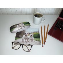 Francia bulldogok - Szemüvegtok tisztítókendővel - von Lilienfeld