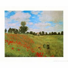 Monet: Pipacsvirágzás - Selyemsál 100% - von Lilienfeld