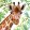 Tropical Giraffe papírszalvéta 33x33cm, 20db-os