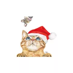 Who are you papírszalvéta 33x33cm, 20db-os – PPD