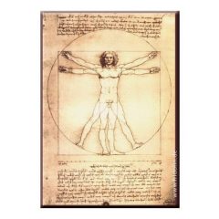   Hűtőmágnes 8x5,4x0,3cm, Leonardo Da Vinci.Vitruvius tanulmány