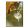 Hűtőmágnes 8x5,4x0,3cm, Degas: The Star