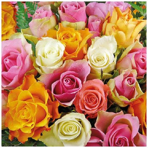 Colorful Roses papírszalvéta 33x33cm, 20db-os