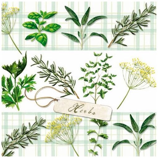 Herbs papírszalvéta 25x25cm, 20db-os