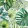 Tropical Leaves papírszalvéta 33x33cm, 20db-os