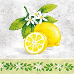 Lemon Branch papírszalvéta 33x33cm, 20db-os