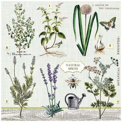 Herbs Garden papírszalvéta 33x33cm, 20db-os
