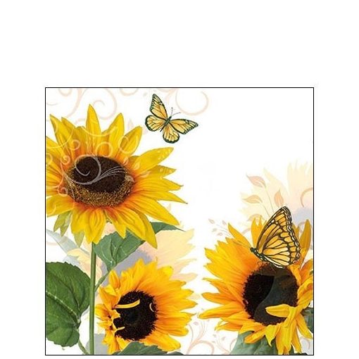 Sunny Butterfly papírszalvéta 25x25cm, 20db-os