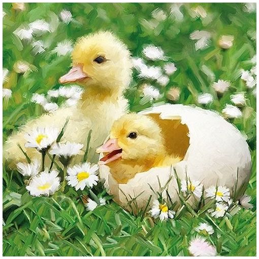 Newborn Chicks papírszalvéta 33x33cm, 20db-os