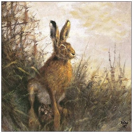 Portrait Of Hare papírszalvéta 33x33cm, 20db-os