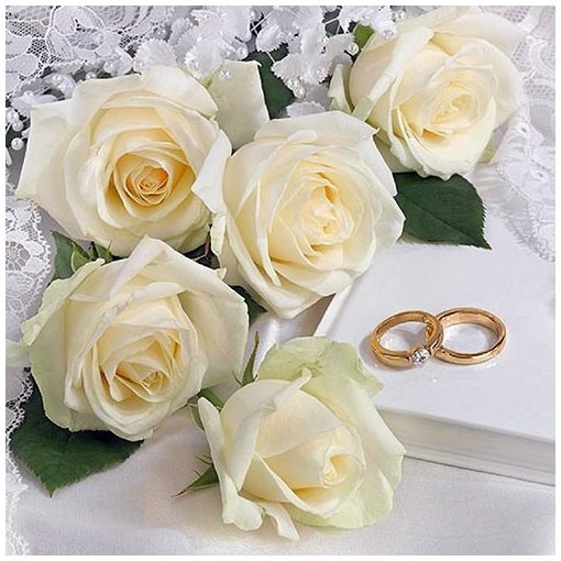 White Wedding papírszalvéta 33x33cm, 20db-os