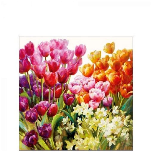 Tulips papírszalvéta 25x25cm, 20db-os
