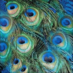 Peacock Feathers papírszalvéta 33x33cm, 20db-os