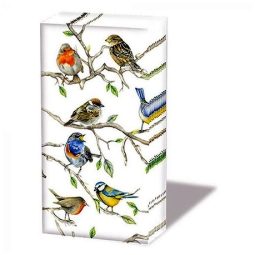 Birds Meeting papírzsebkendő 10db-os