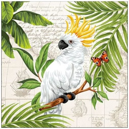 Cockatoo papírszalvéta 33x33cm, 20db-os