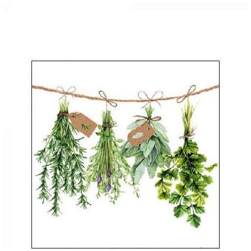 Fresh Herbs papírszalvéta 25x25cm, 20db-os