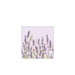   Lavender Shades lila papírszalvéta 25x25cm, 20db-os – Ambiente