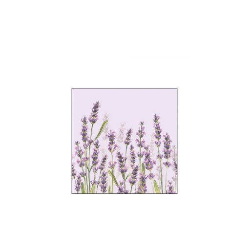 Lavender Shades lila papírszalvéta 25x25cm, 20db-os – Ambiente