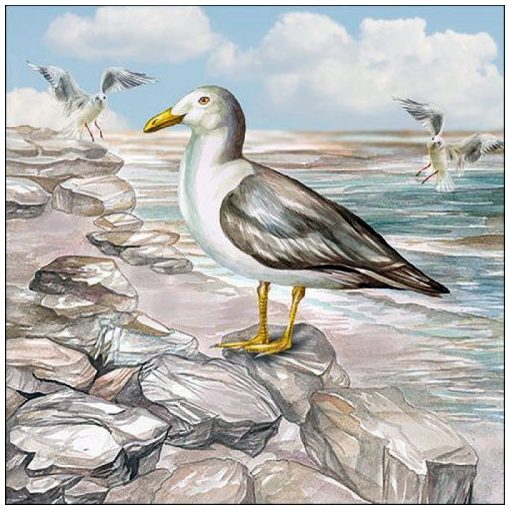 Seagull On The Shore papírszalvéta 33x33cm, 20db-os