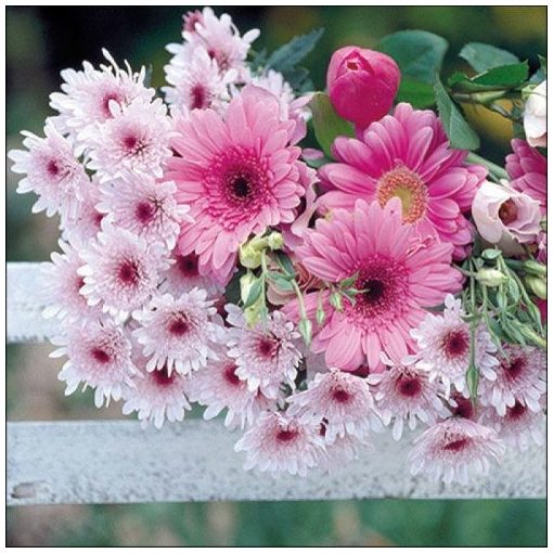 Gerberas papírszalvéta 33x33cm, 20db-os