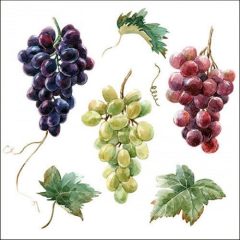 Wine grapes papírszalvéta 33x33cm, 20db-os