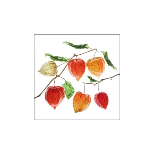 Lampion flower papírszalvéta 33x33cm, 20db-os – Ambiente