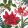 Ambiente Christmas plants white papírszalvéta 33x33cm, 20db-os