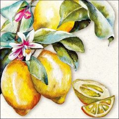 Ambiente Sunny lemon papírszalvéta 33x33cm, 20db-os