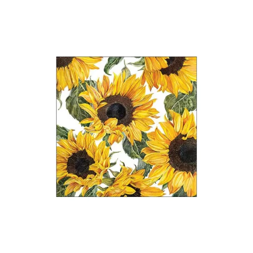 Sunflowers blossoming papírszalvéta 33x33cm, 20db-os – Ambiente