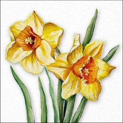   Ambiente Flowering daffodils papírszalvéta 33x33cm, 20db-os