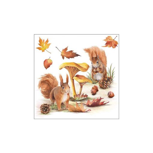Squirrels go nuts papírszalvéta 33x33cm, 20db-os – Ambiente