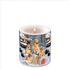   Ambiente Golden retriever puppies ávilágítós gyertya 8x7,5cm