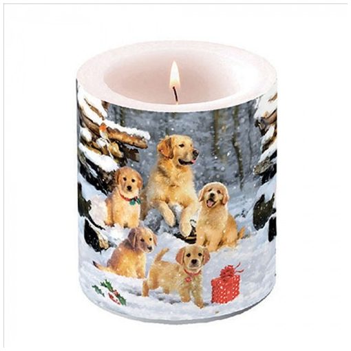 Ambiente Golden retriever puppies átvilágítós gyertya 10x10xcm