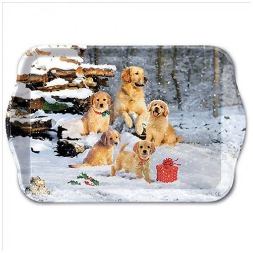 Ambiente Golden retriever puppies műanyag kistálca 13x21cm