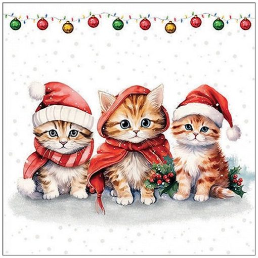 Ambiente Funny cute kittens papírszalvéta 33x33cm, 20db-os