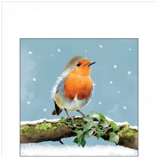 Ambiente Robin on branch papírszalvéta 25x25cm, 20db-os
