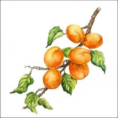 Marille papírszalvéta 33x33cm, 20db-os