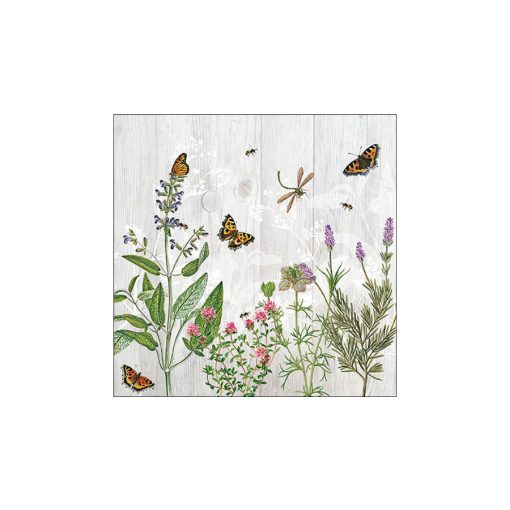 Herb Garden papírszalvéta 33x33cm, 20db-os – Ambiente