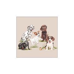   Playing puppies papírszalvéta 33x33cm, 20db-os – Ambiente