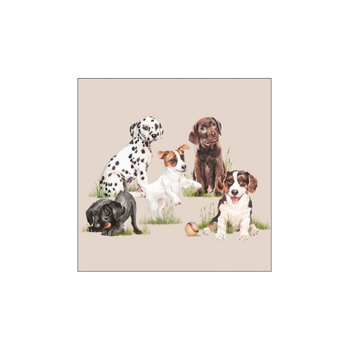 Playing puppies papírszalvéta 33x33cm, 20db-os – Ambiente