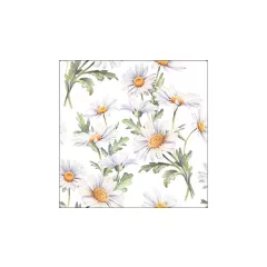   Beautiful daisies white papírszalvéta 33x33cm, 20db-os – Ambiente
