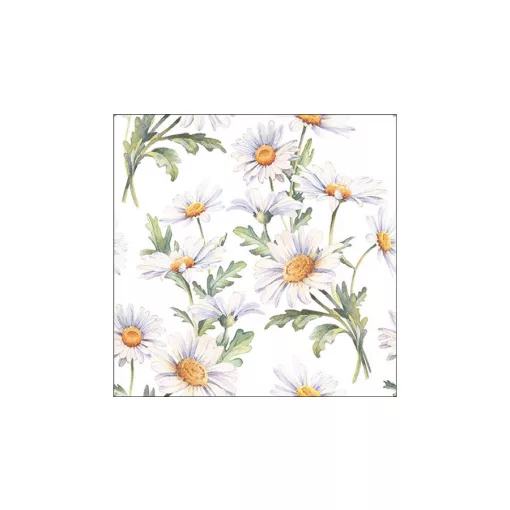 Beautiful daisies white papírszalvéta 33x33cm, 20db-os – Ambiente