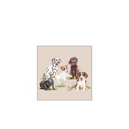 Playing puppies papírszalvéta 25x25cm, 20db-os – Ambiente