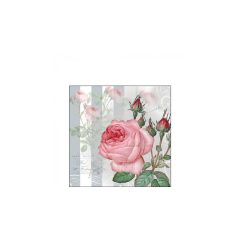 Yara papírszalvéta 25x25cm, 20db-os – Ambiente