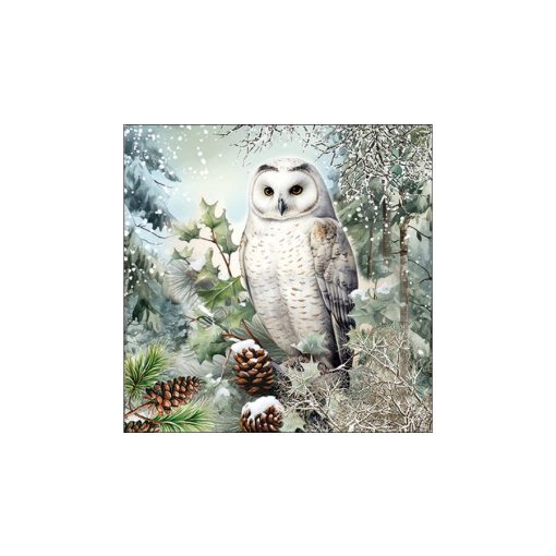 Snowy owl papírszalvéta 33x33cm, 20db-os – Ambiente