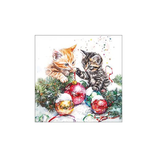 Adorable kittens papírszalvéta 33x33cm, 20db-os – Ambiente